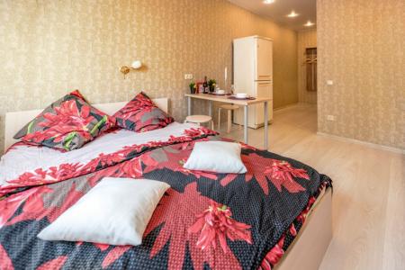 Отличная студия в центре г. Химки!