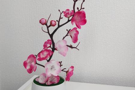 Апартаменты у озера