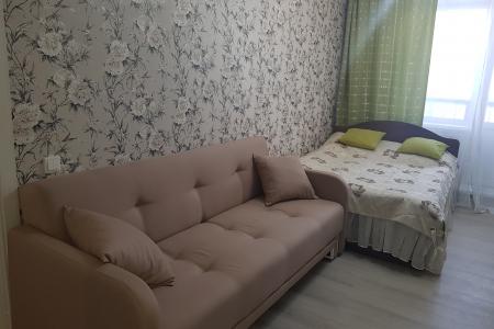 Однокомнатные апартаменты в центре города