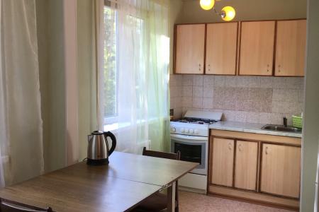 1-ком. квартира у парка Гагарина, Эконом.Академии, ж/д институт