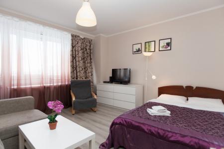 Однокомнатная квартира на сутки рядом с м.Маяковская(095)