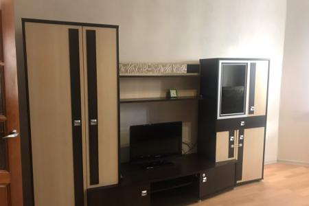 Уютная однокомнатная квартира