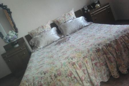 Двухкомнатная квартира возле парка Кирова