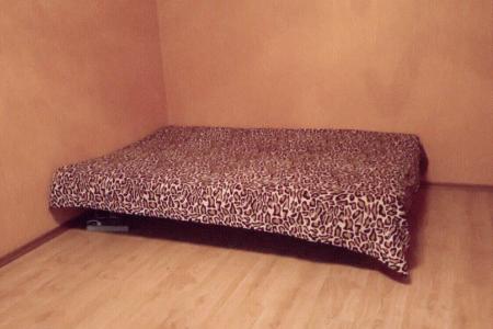 квартира рядом с парком Гагарина