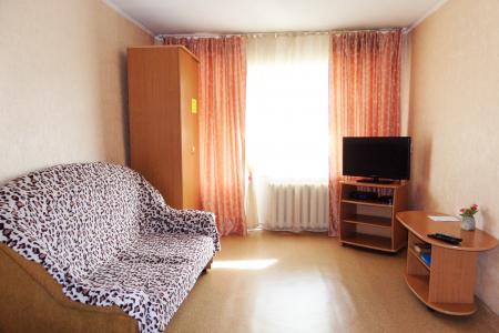 Однокомнатная квартира рядом с Центральным Парком