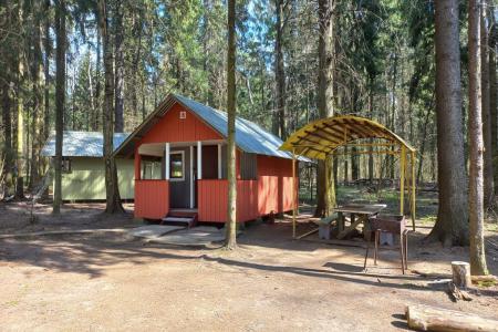 Уютные домики | Густой хвойный лес | свой пирс на воде | Беседки с мангалом | сапборды
