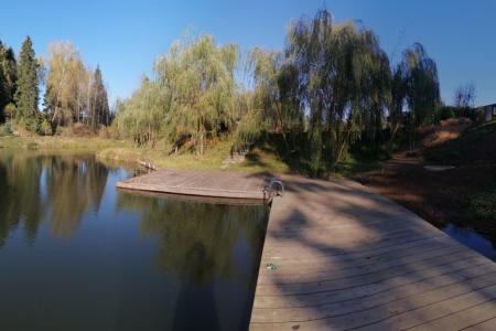 Дом-шале на 10-14 человек. Каток, лыжня, летом пляж