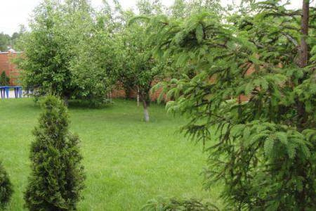 дом Балашиха, деревня Чёрное, Рассветная улица