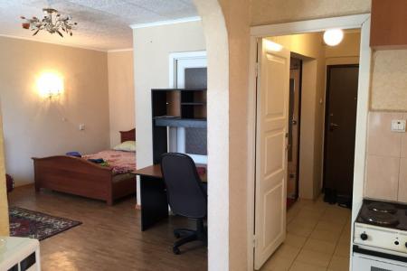 Budget Flat in Gorsky District 52