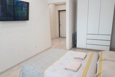 1-комнатная квартира в живописной части города