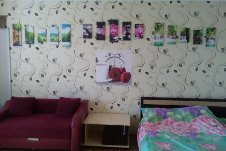 Уютная однокомнатная квартира